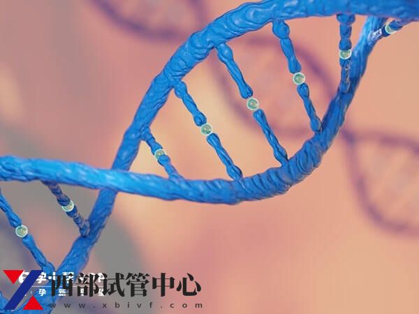 試管嬰兒一般幾次成功