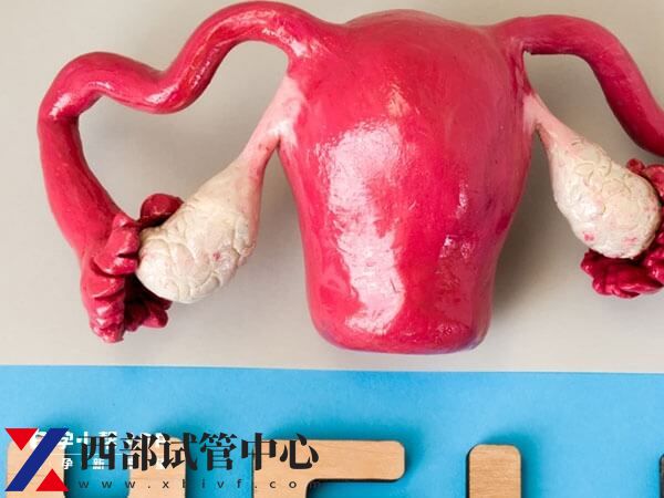 試管嬰兒的風(fēng)險(xiǎn)