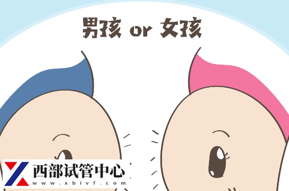孕婦懷孕期間比較好奇胎兒的男女