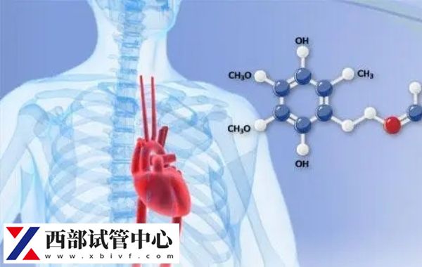 冬首輔酶q10是天然的抗氧化劑