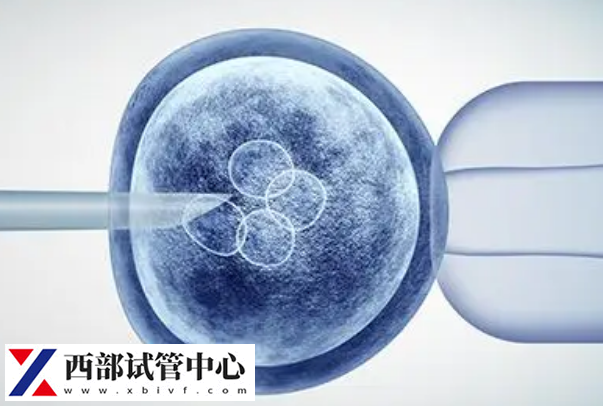 鮮胚移植成功后月經(jīng)會延遲