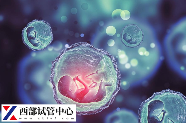 胚胎的質(zhì)量會(huì)影響胚胎的著床時(shí)間