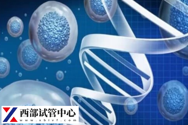 三代試管技術(shù)可以篩選出健康的胚胎
