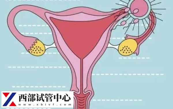 30歲大約有30%-40%的成功率